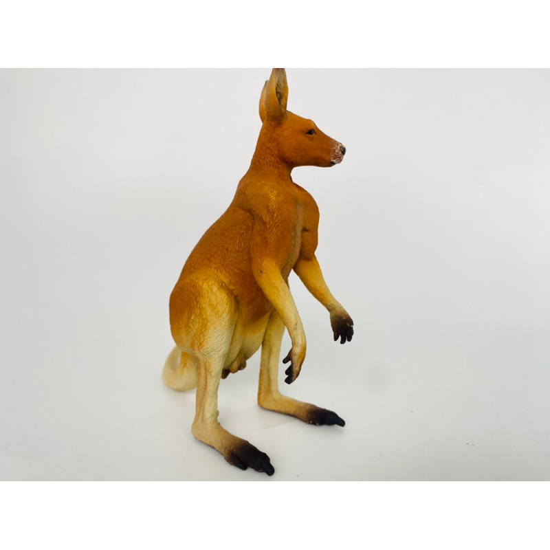Mô hình động vật: Kangaroo Đực