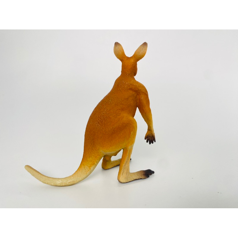 Mô hình động vật: Kangaroo Đực