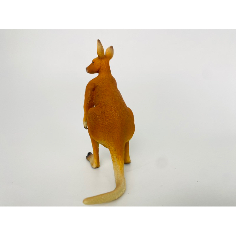 Mô hình động vật: Kangaroo Đực