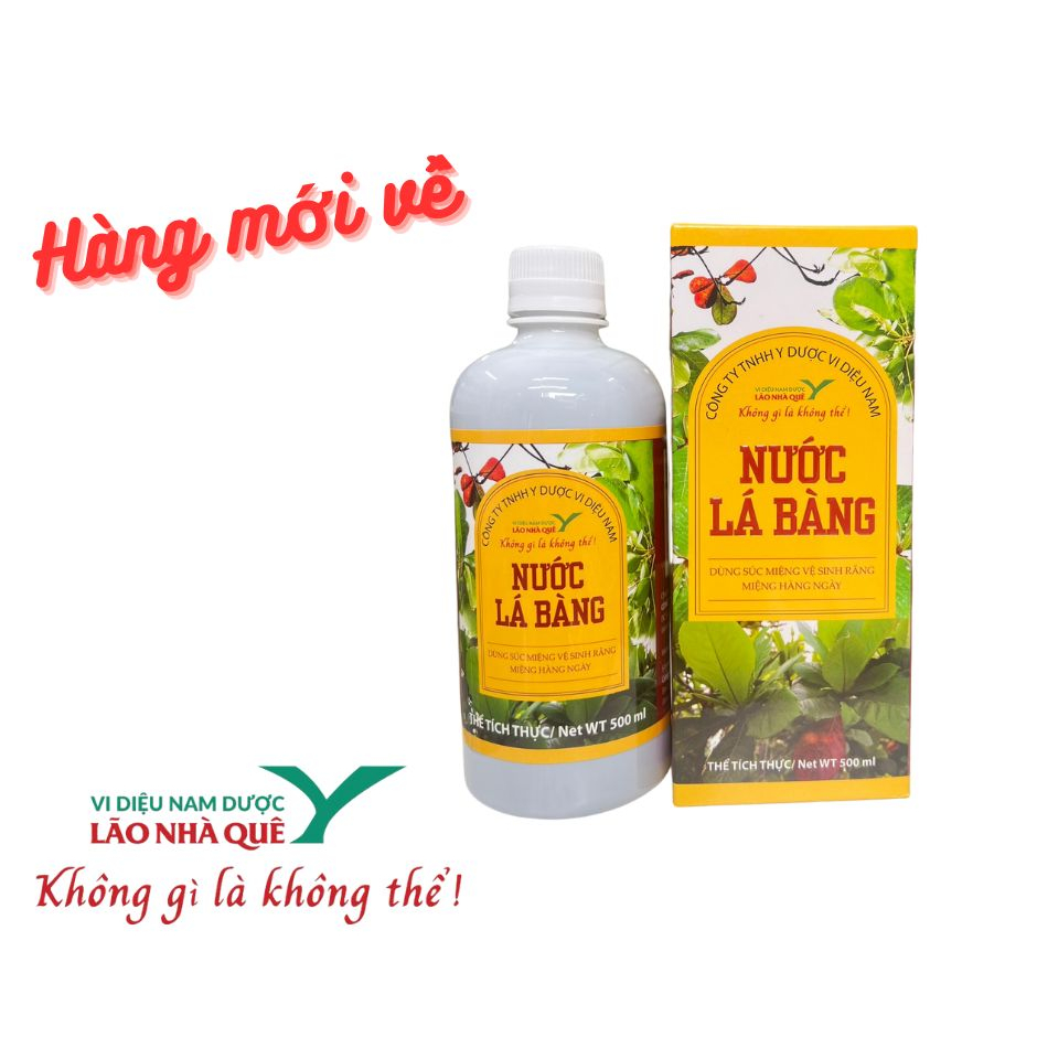 Nước Lá Bàng - hỗ trợ viêm phụ khoa, chân tay miệng, mụn nhọt...