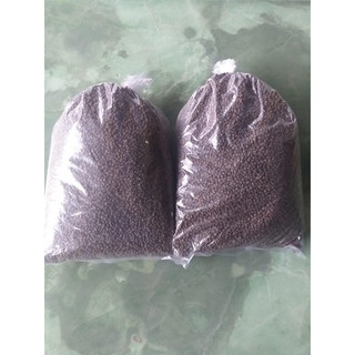 10 hạt giống sâm bố chính tặng 50 hạt khi mua 100 hạt