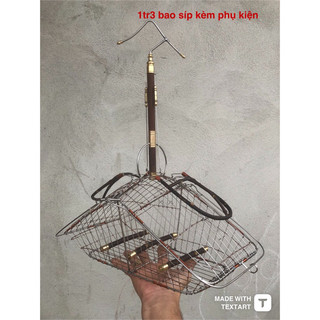 lồng bẫy chào mào