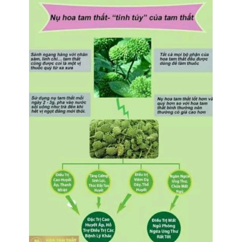 200g NỤ HOA TAM THẤT VIP LOẠI 1