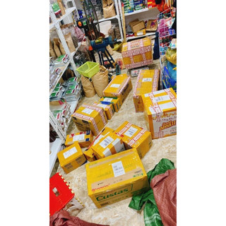 mix 5 loại hạt 500g
