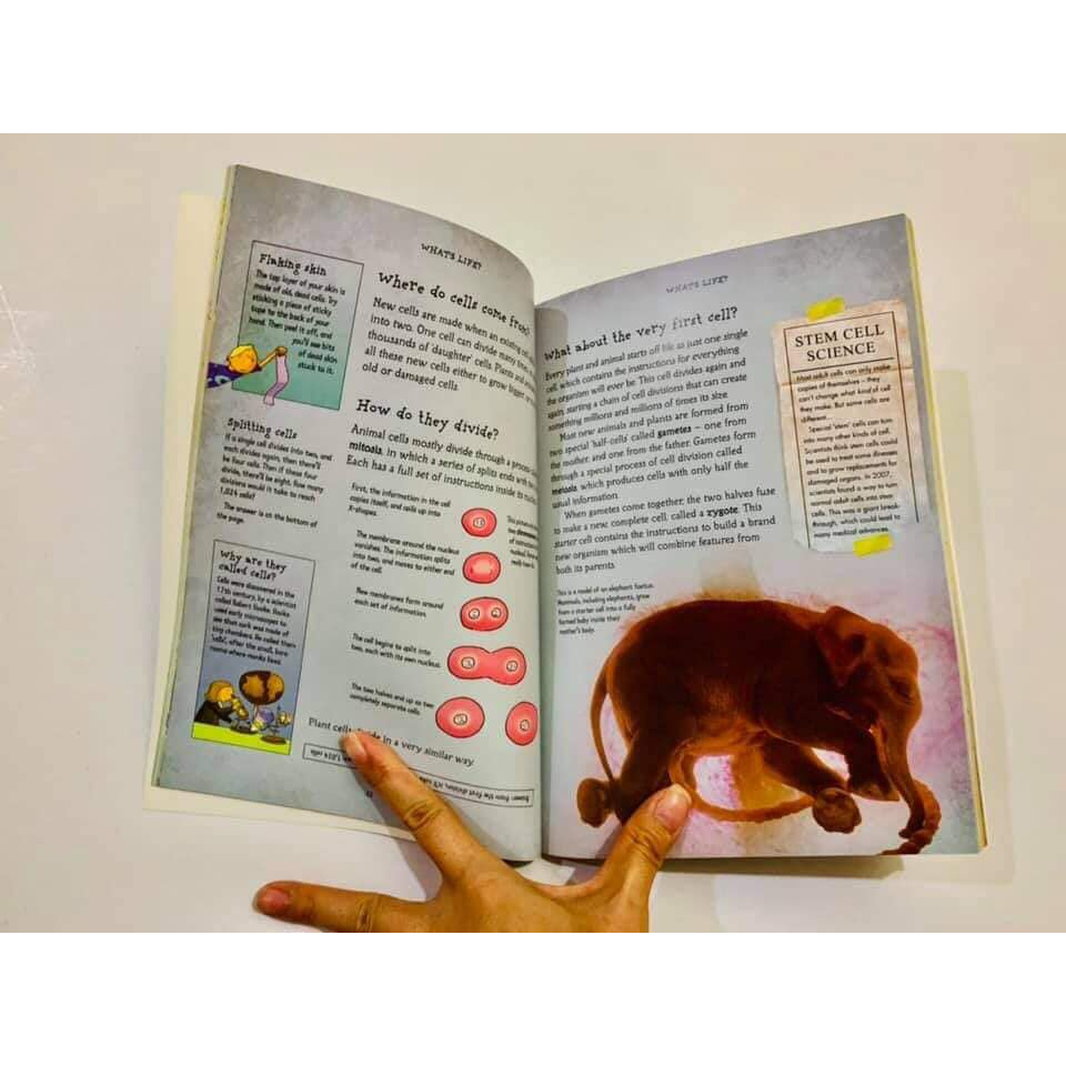 Sách - WHAT'S Maths, Chemistry, Physics, Science, Biology ALL ABOUT? bộ 5 cuốn