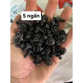 ốc 5ly bắt bợ cổ (50 con) (loại xịn)