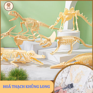 Đồ Chơi Khai Quật Hoá Thạch Khủng Long Shin Kids Cho Bé Nhập Vai Nhà Khảo Cổ Học Giúp Rèn Luyện Tính Kiên Nhẫn