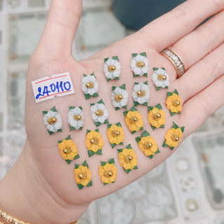 Hoa bột nail hoa trạng nguyên đính móng tay nail