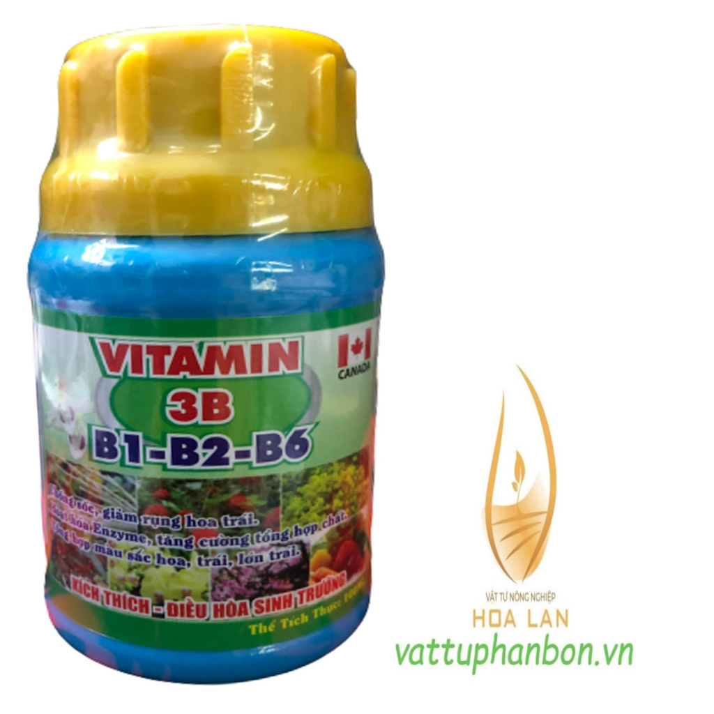 Phân Bón Vitamin 3B (B1-B2-B6) Canada - #009A# 100ml
