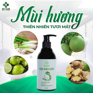 Dầu gội gàu nấm dr cell giúp giảm rụng tóc, giảm gàu và nấm ngứa cho tóc luôn khoẻ