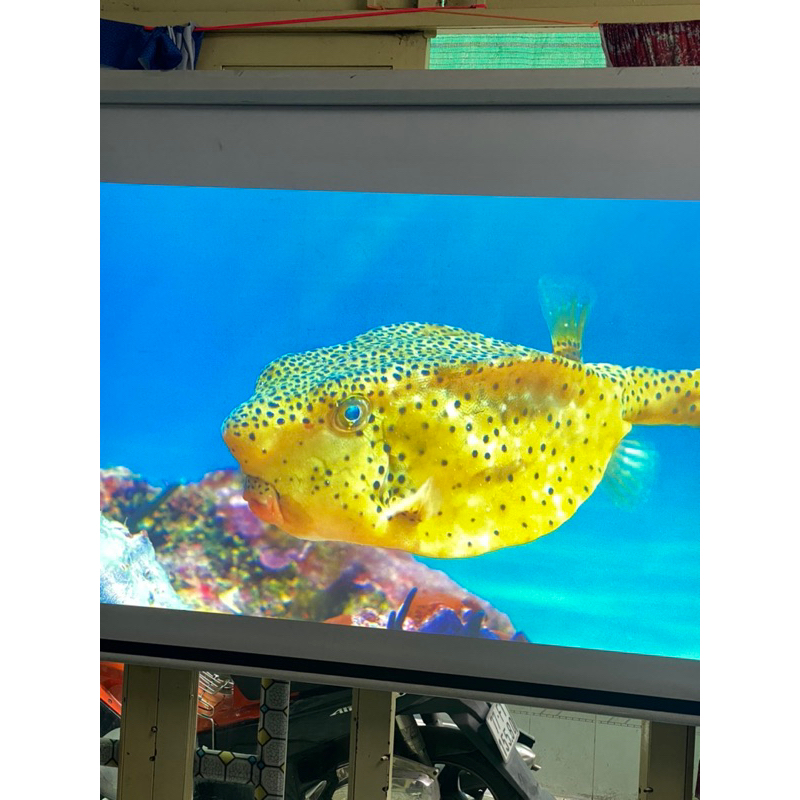 Máy chiếu hội trường lớn Panasonic PT-DZ680