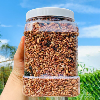 [ HŨ VUÔNG 500g ] Gạo Lứt Huyết Rồng Rong Biển - Ăn Chay Giảm Cân