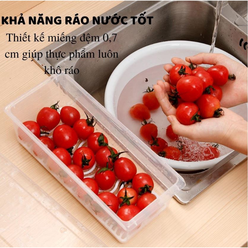 Hộp Đựng Thực Phẩm Hoa Quả,Thức Ăn, Rau Củ Có Khay Để Tủ Lạnh Bằng Nhựa PP An Toàn Hàng Việt Nhật (H-6586)