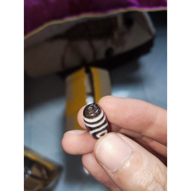 Dzi 2 mắt - Pháp Khí Mật Tông - Phật giáo Tây Tạng