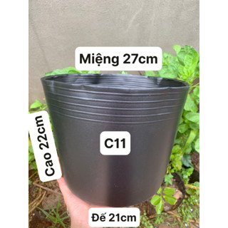 CHẬU BÍT LỖ C12,C13 TRỒNG SEN, SÚNG HÀNG DÀY LOẠI 1