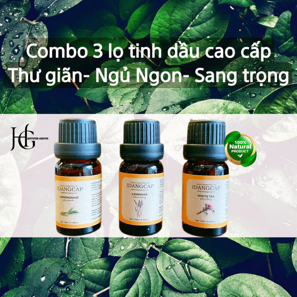 Combo 3 Lọ Tinh Dầu Cao Cấp IDANGCAP Dung Tích 10ml Oải Hương - Trà Trắng