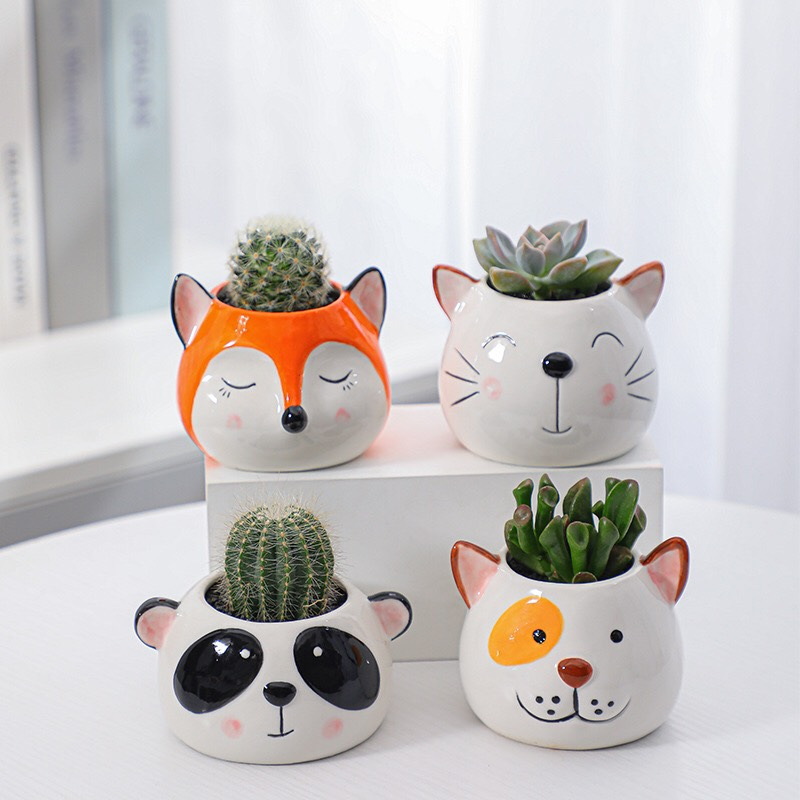 Chậu Con Vật Siêu Cute, Trồng Cây Mini, Sen Đá, Xương Rồng Để Bàn Bao Bù Vận Chuyển