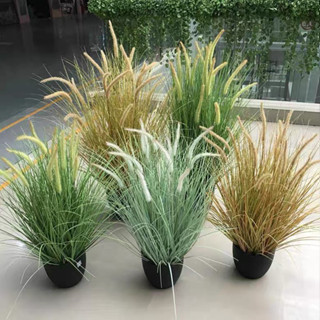  Hoa Giả Bông Lau Cụm Lau Cỏ Nhân Tạo 5 Bông Decor 