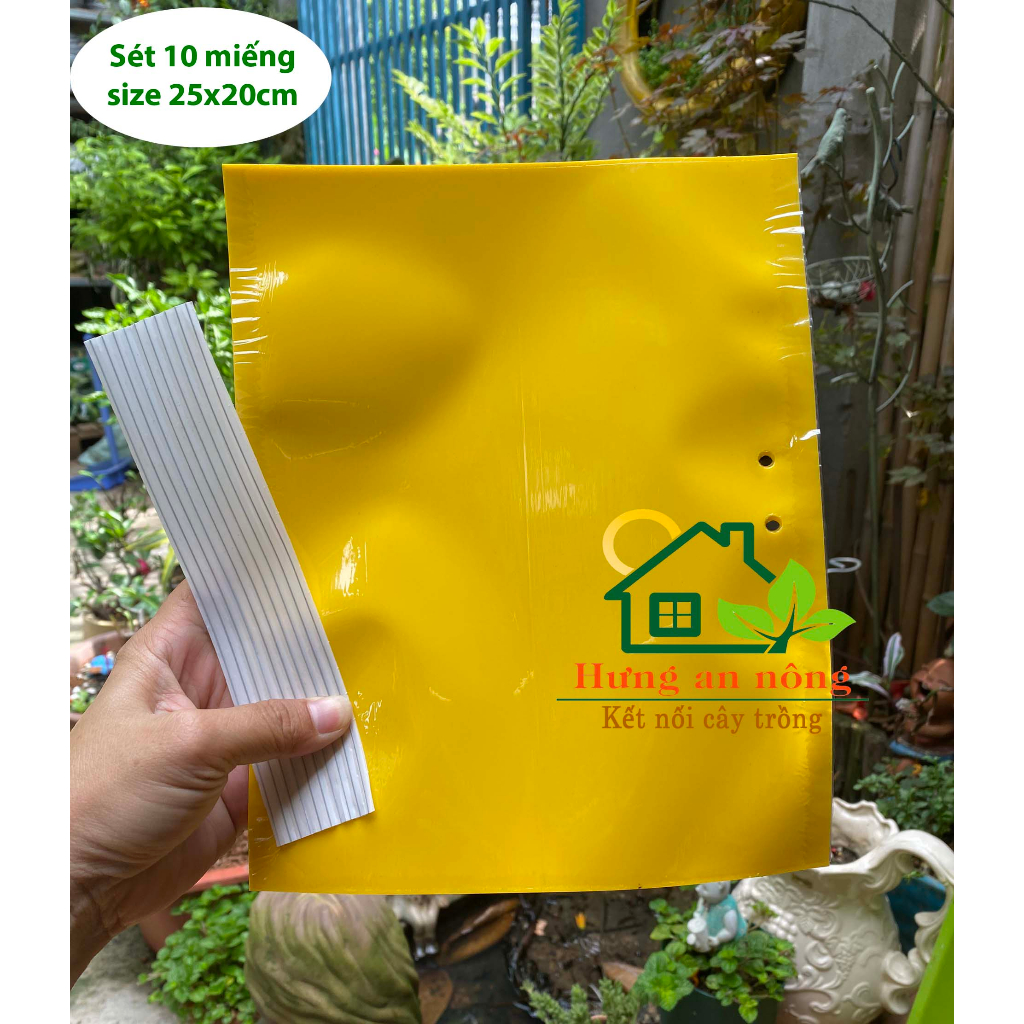 Sét 10 miếng keo dán 2 mặt kèm kẽm treo dùng bẫy ruồi vàng côn trùng có cánh
