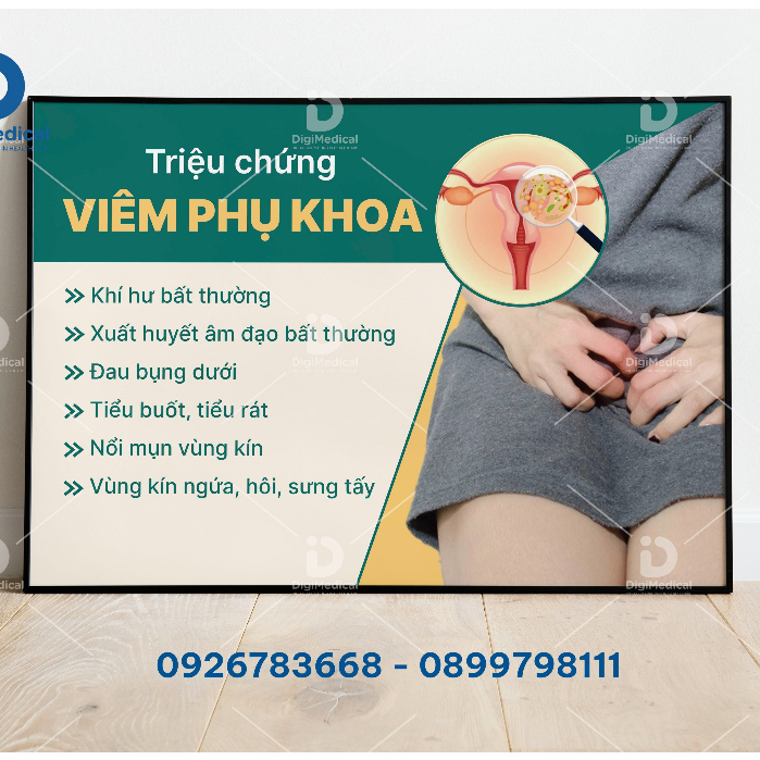 (Decal Dán) Tranh Sản Phụ Khoa - Các Triệu Chứng Viêm Phụ Khoa