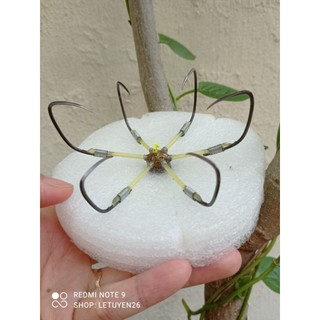 Lưỡi câu lục #16