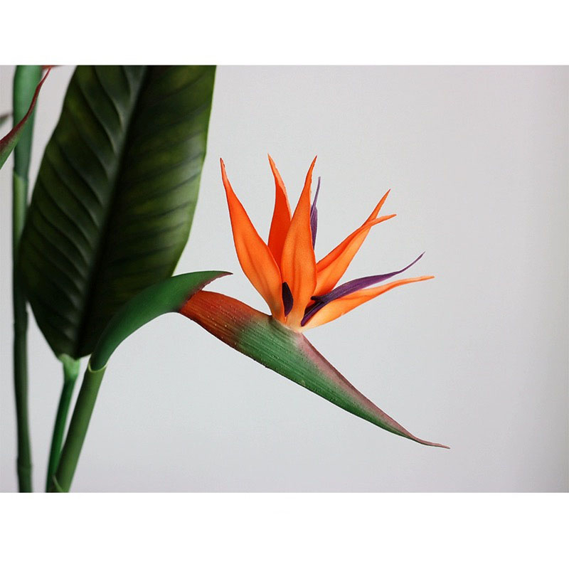 Hoa Giả Hoa Thiên Điểu, Cành Hoa Thiên Điểu Cao Su 1 Bông