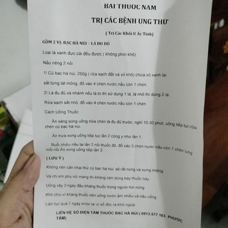 (combo 5kg) Bạc Hà Núi , củ ráy rừng.