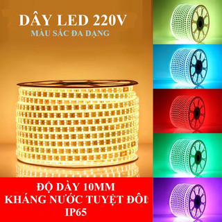 COMPO Dây led(+ nguồn) 2835 2 hàng bóng (2 kim)về cắm là sử dụng
