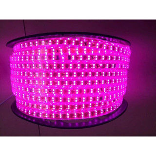 COMPO Dây led(+ nguồn) 2835 2 hàng bóng (2 kim)về cắm là sử dụng