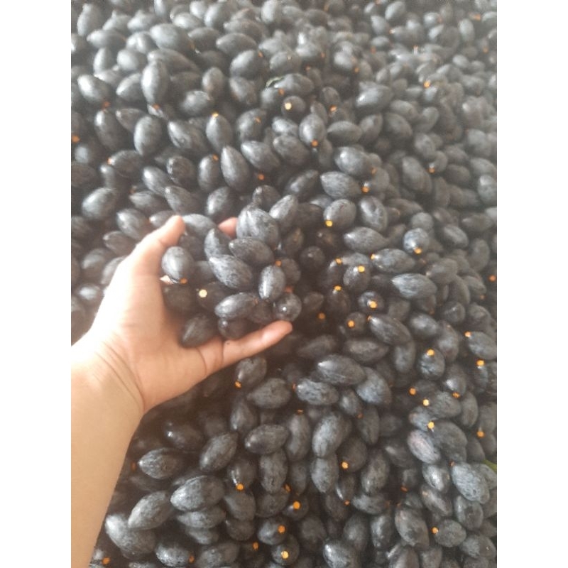 Hũ 750g trám đen ngâm muối đặc sản Anh Sơn Nghệ an- Hàng dễ vỡ quý khách vui lòng bố trí nhận hàng