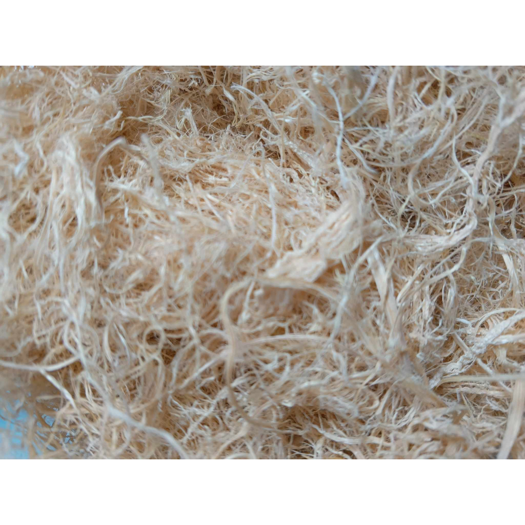 Rác, Tre Bào Lót Tổ Cho Chim Yến, Finch, Manh Manh... 100g