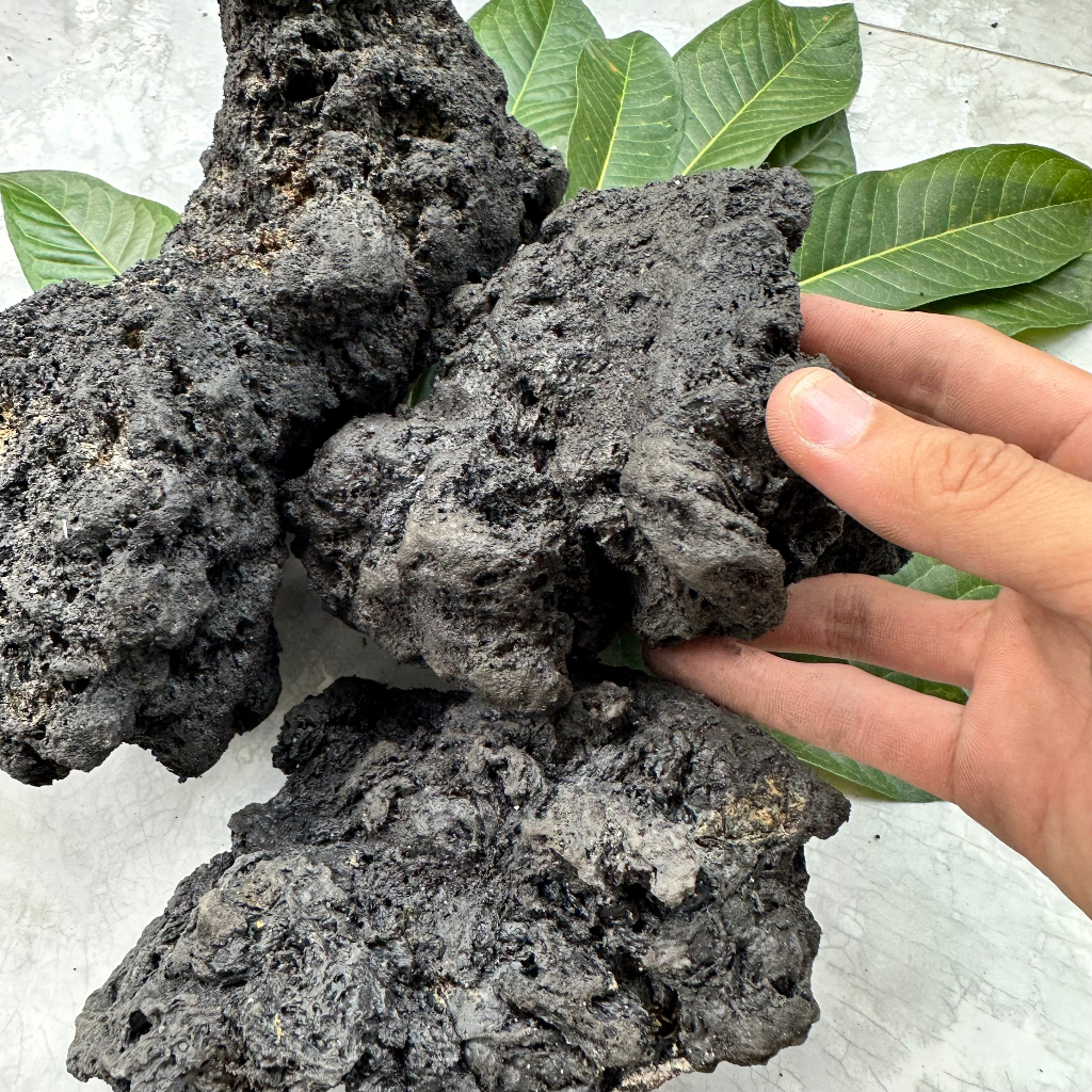 Đá đen Gia Lai trang trí thủy sinh 1kg