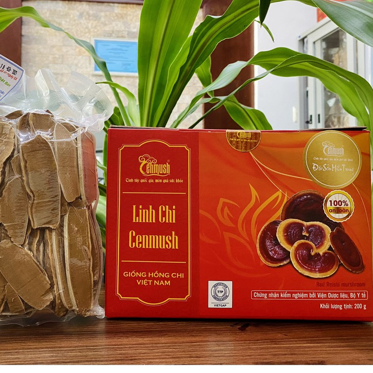 Nấm Linh Chi CENMUSH Việt Nam hộp 500g giống Hồng Chi - Đặc Sản Xứ Quảng
