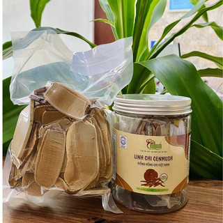 Nấm Linh Chi CENMUSH Việt Nam hũ 50g giống Hồng Chi cắt lát  - Đặc Sản Xứ Quảng