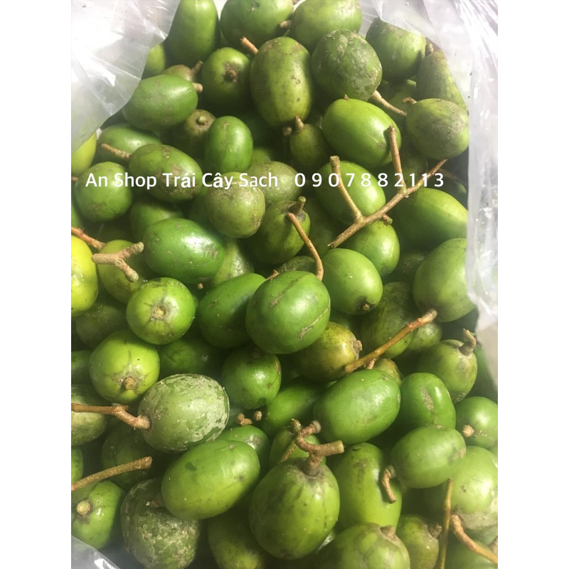 Cóc Non Thái Tươi Sống
