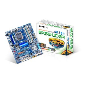 Main socket 1366 nhiều loại