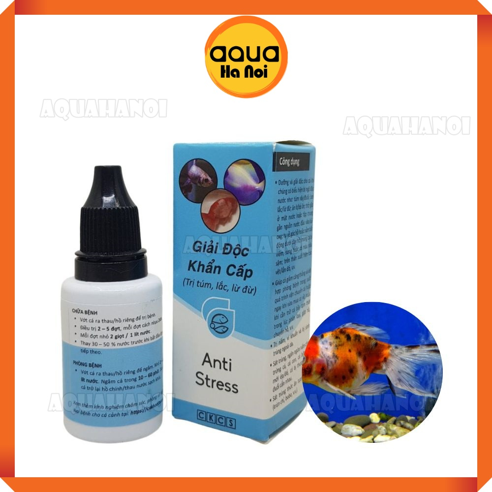 Anti Stress & ParaKill  - Dưỡng Cá và xử lý các vấn đề cho cá cảnh, cá thủy sinh