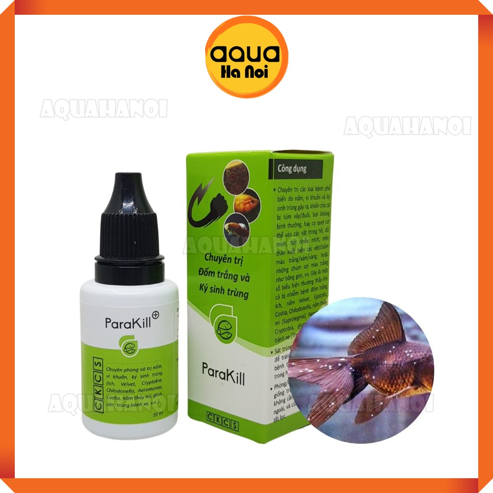 Anti Stress & ParaKill  - Dưỡng Cá và xử lý các vấn đề cho cá cảnh, cá thủy sinh