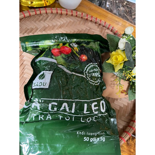 Trà cà gai leo túi lọc 50x5g