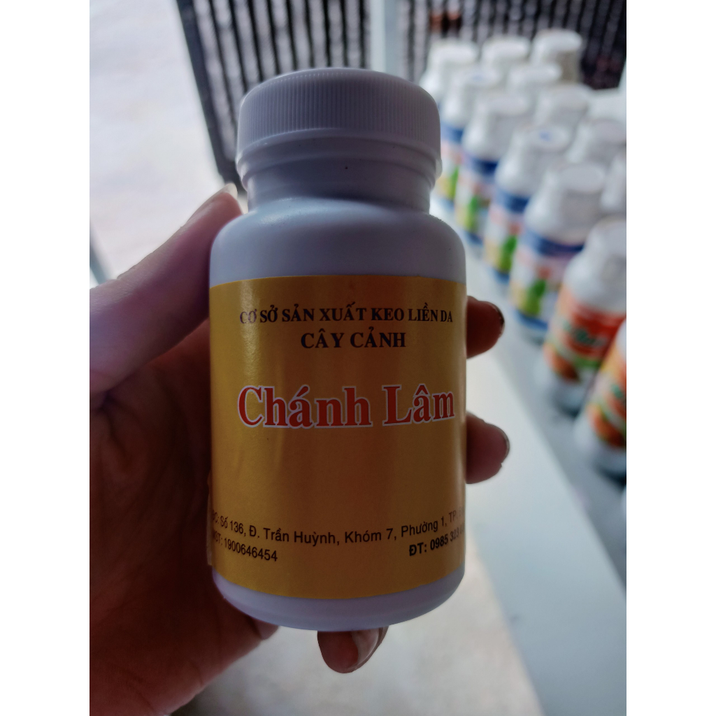 KEO LIỀN DA CÂY CHÁNH LÂM