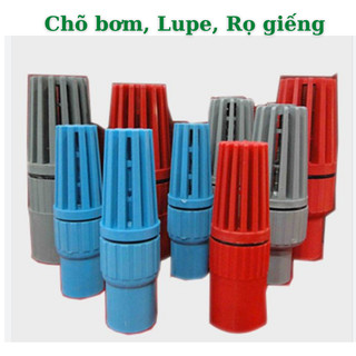 Chõ đỏ, Lupe 21-27-34-42-48-68