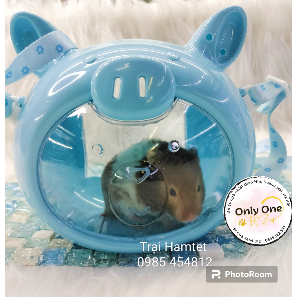 Lồng Hamster xách tay Mika - Onlyonepetshop