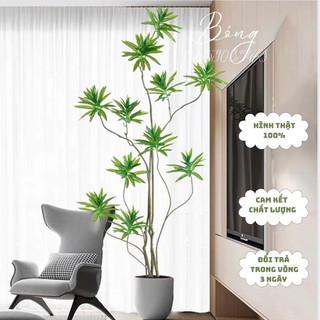 Cây thủy trúc giả decor hàng cao cấp kích thước 1m4,1m6,1m8