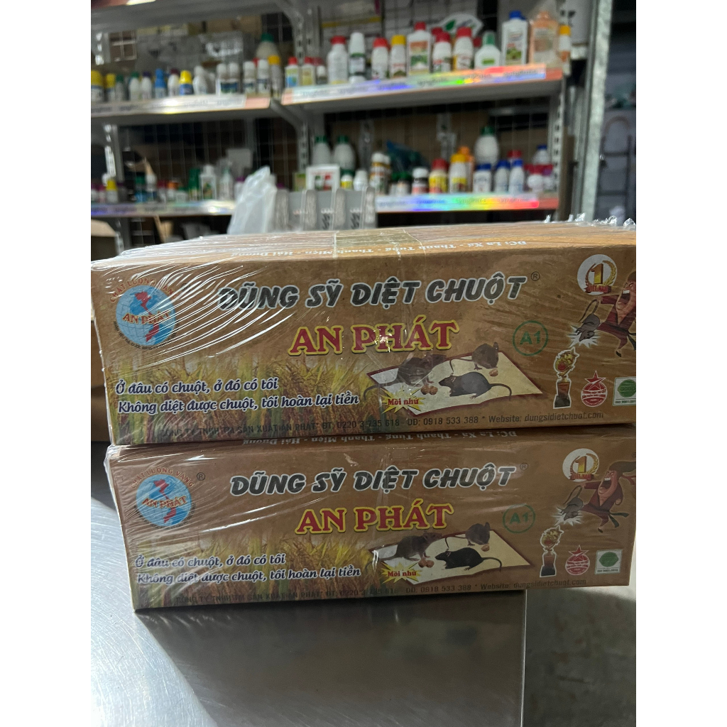 Keo dính chuột có mồi nhử An Phát - Siêu dính - Combo 10 miếng