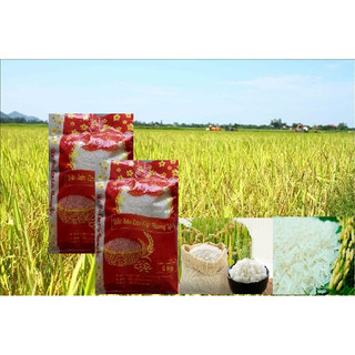 Gạo hương lài dẻo mềm cơm
