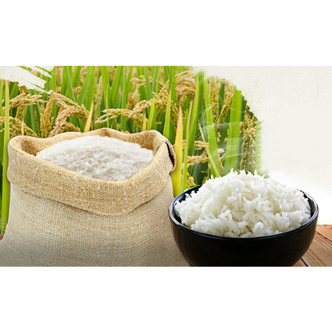 Gạo Hương Lài   Dẻo Mềm Cơm