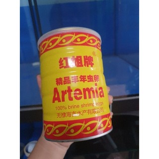 Trứng Artemia lon vàng Ấp Nở Trung Quốc Lon Vàng tỉ lệ nở cao