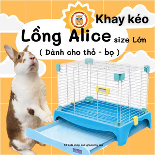 lồng alice thỏ bọ size lớn có khay kéo (khay nhựa)