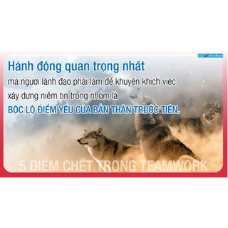 Sách 5 Điểm Chết Trong Teamwork