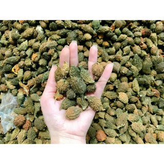 1kg Mướp đắng rừng (khổ qua rừng) hàng nguyên quả và thái lát sấy khô